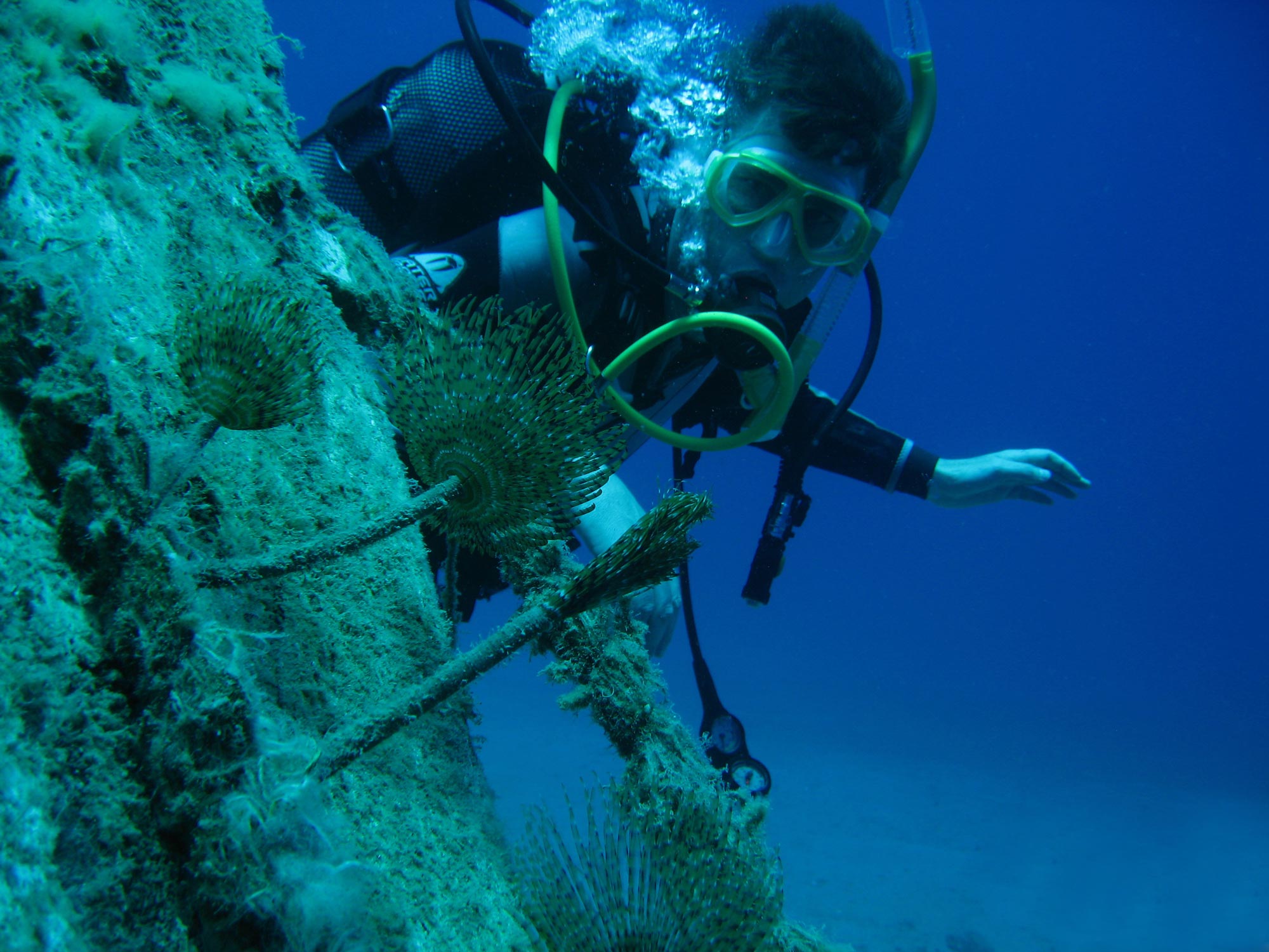 La plongée sous-marine en Crète